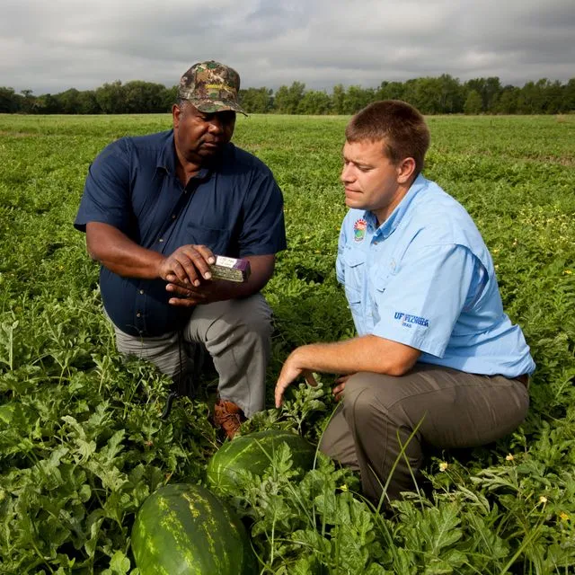 thumbnail for publication: Evaluating Participatory Action Research Projects: Process, Outcomes, and Use
